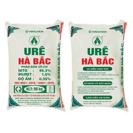 Ure Hà Bắc